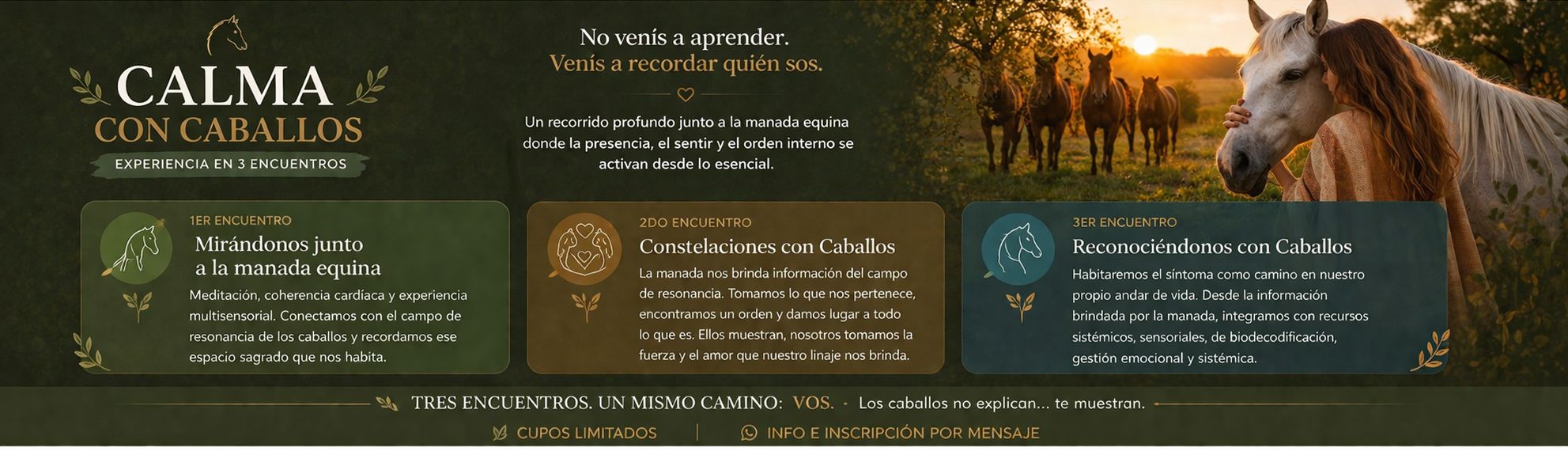 WhatsApp Image 2026-04-28 at 22.47.29