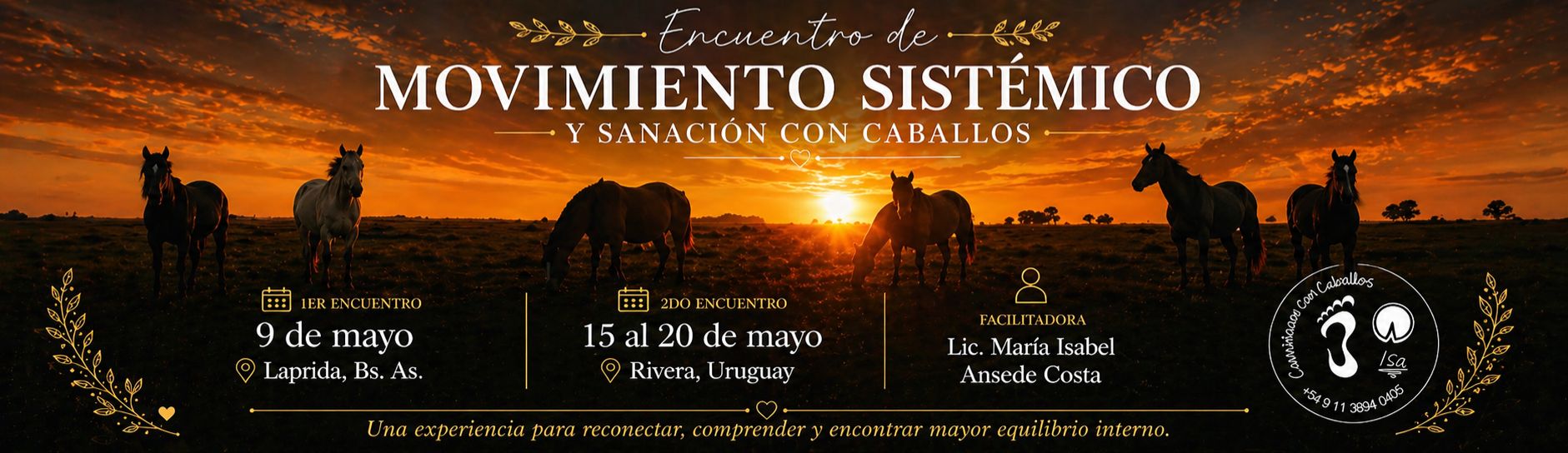 WhatsApp Image 2026-04-30 at 19.11.20